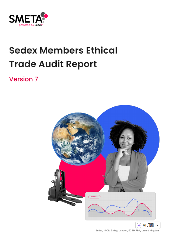SMETA Sedex social compliance audit report